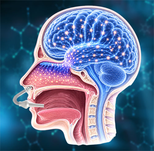 trivair with brain distribution